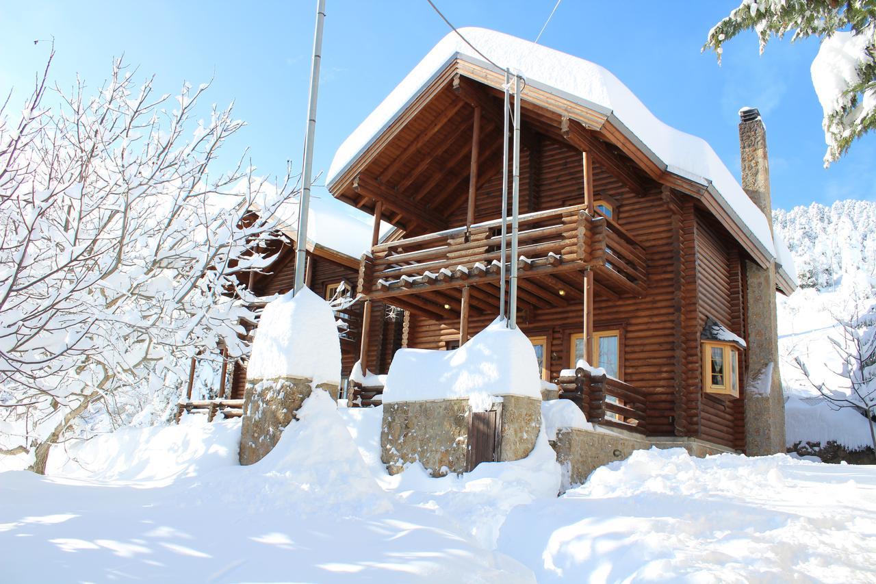 Paradise Chalet أنو تريكالا المظهر الخارجي الصورة